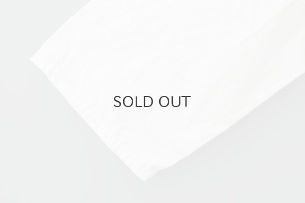 画像7: コンパクトウェザー長袖ブラウス (WH)