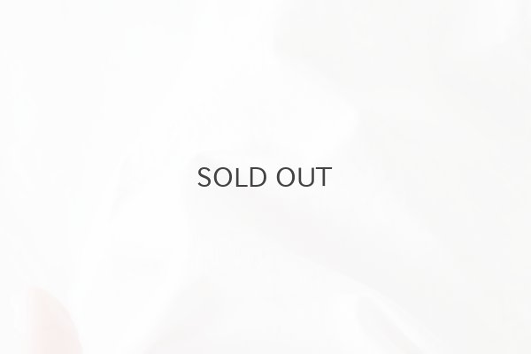 画像9: バルキーシーチングフリル PO BL (252-5746:WH)