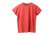 画像1: 30/-天竺 半袖Tシャツ（6271:VER） (1)