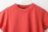 画像3: 30/-天竺 半袖Tシャツ（6271:VER） (3)