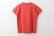 画像2: 30/-天竺 半袖Tシャツ（6271:VER） (2)