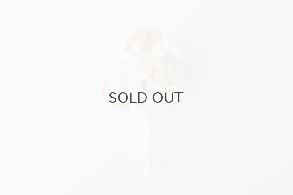 画像2: violet  (OF)