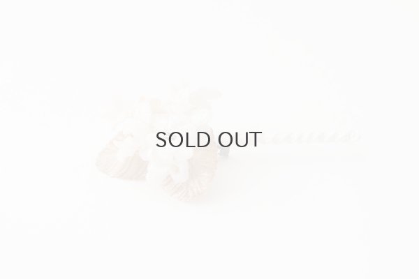 画像3: violet  (OF)