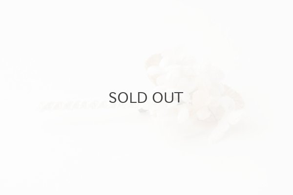 画像4: violet  (OF)