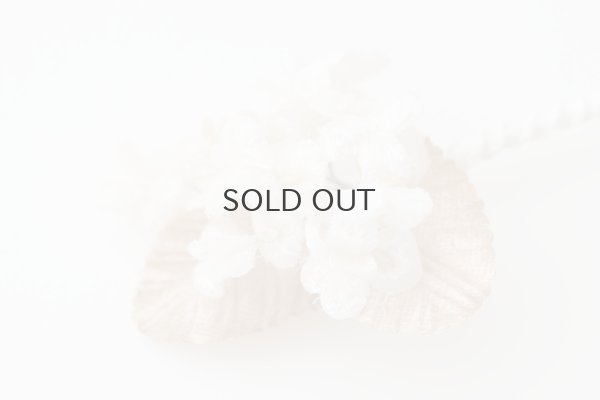 画像6: violet  (OF)