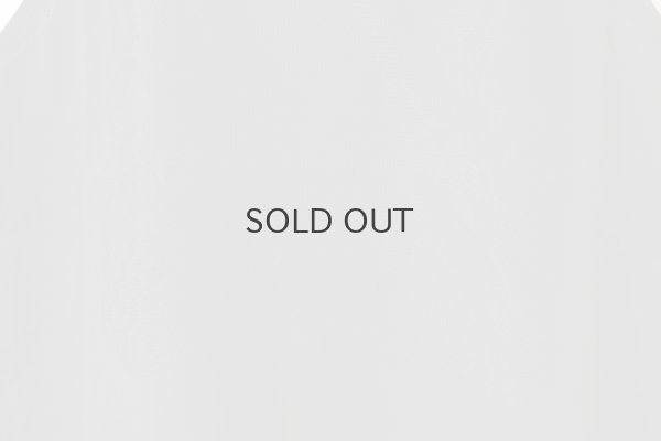 画像10: inner Dress (BK)