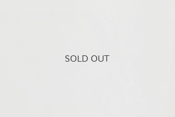 画像9: inner Dress (BK)