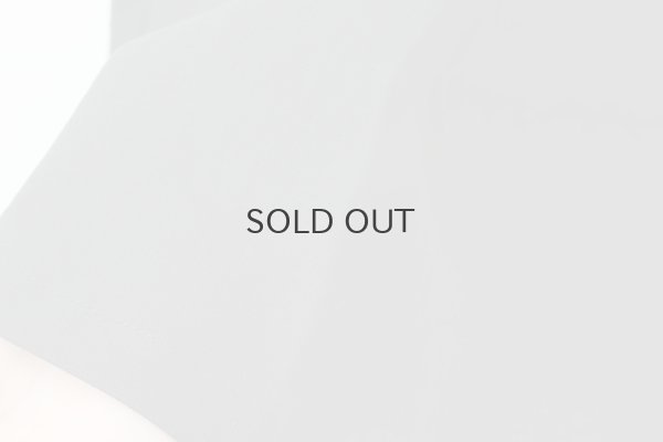 画像11: inner Dress (BK)