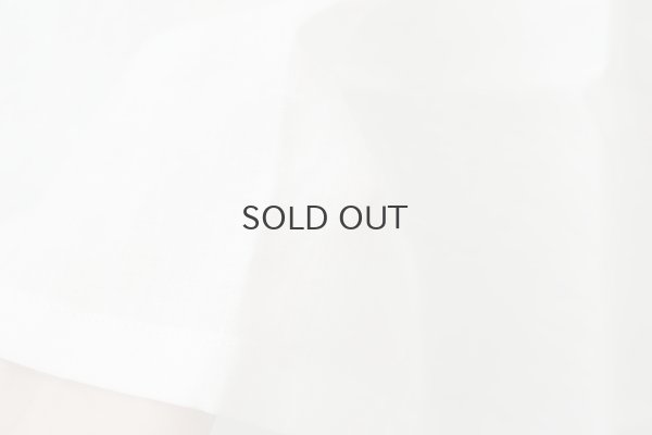 画像10: inner Dress (OF)