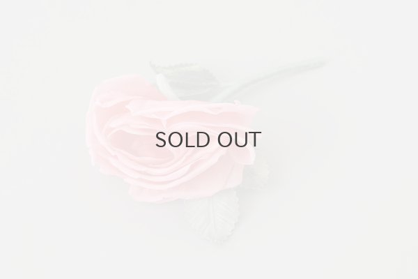 画像5: 花の蜜 (PK)