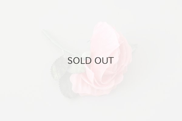 画像4: 花の蜜 (PK)