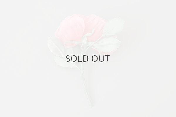 画像3: 花の蜜 (PK)