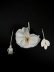 画像5: wild rose corsage pendant (OF) (5)