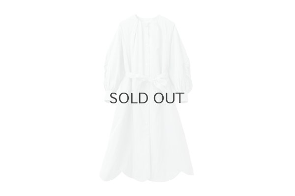 画像1: 別注!! micro taffta coat (BLGY)