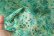 画像9: forest flower tulle print top (GR) (9)