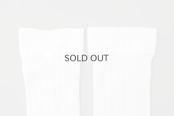 画像7: stripe mesh socks