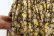 画像4: 別注!! print gather skirt 