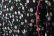 画像3: sweet rose tulle top (BK) (3)