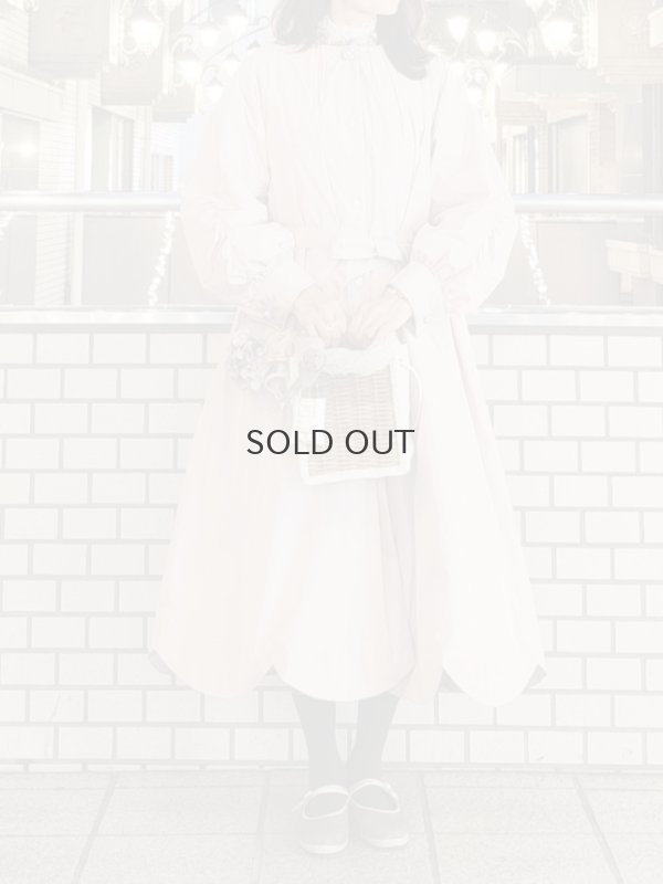 画像31: 別注!! micro taffta coat (BLGY)