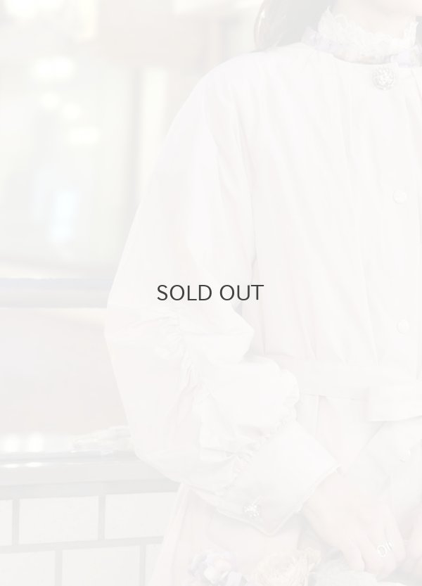 画像34: 別注!! micro taffta coat (BLGY)