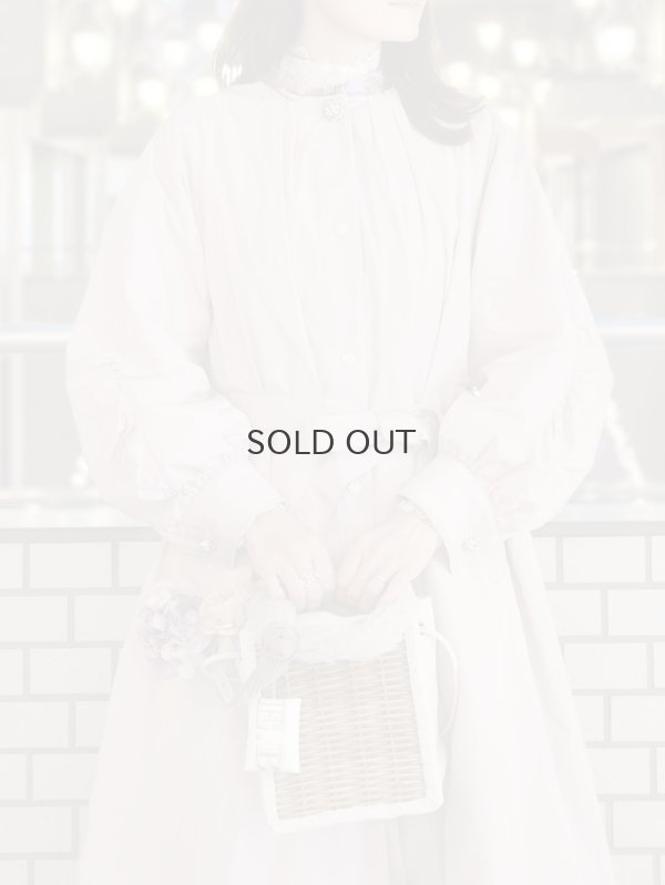 画像33: 別注!! micro taffta coat (BLGY)