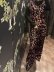 画像10: petal velvet pants (BK) (10)