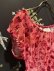 画像8: petal velvet top  (PK) (8)