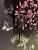画像4: petal velvet top  (BK) (4)