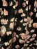 画像9: petal velvet pants (BK) (9)