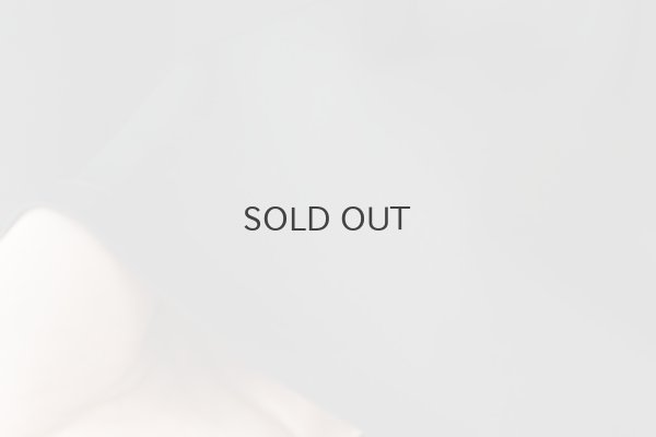 画像5: petticoat (MU0092:BK)