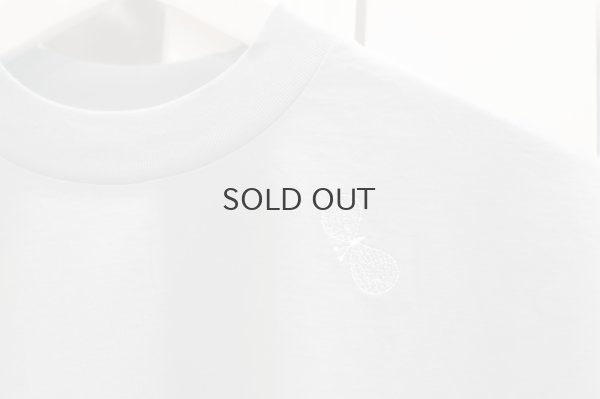 画像11: choucho カットソー (ACA8931:WH)