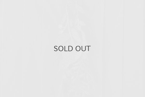 画像13: forest parade ドレス (ACA3095:GY)