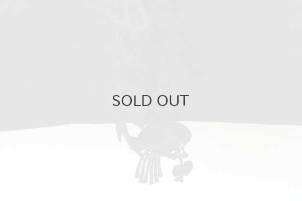 画像6: forest parade ジャケット (ACA2412)