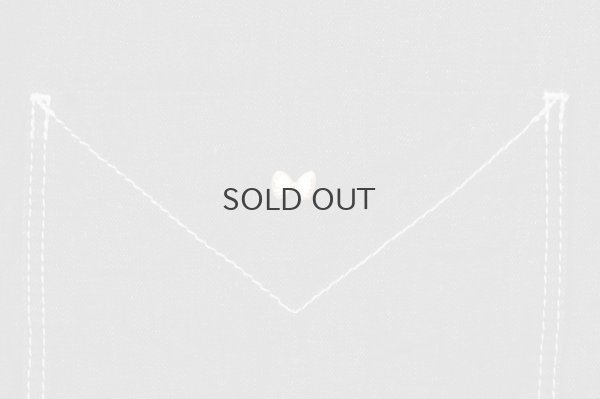 画像14: every day ニーパネルデニム DN4642 (ID)