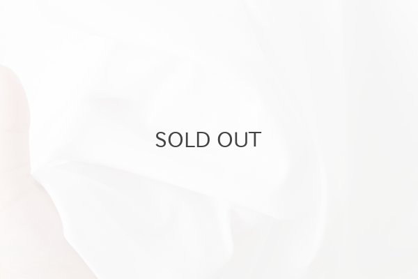 画像7: pelata ハーフスリーブカットソー (ADA8016:WH)