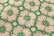 画像4: anemone egg bag (ADA9293:PK) (4)