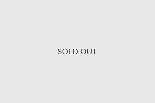 画像8: tambourine egg bag (ADA9297:DNV)