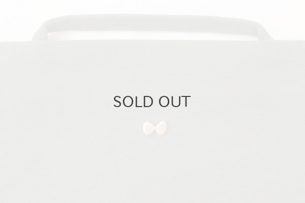 画像3: supouch M (ADS7631:GY)