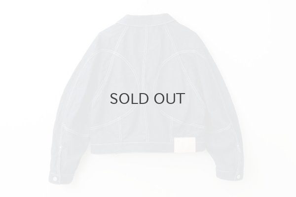 画像2: every day ブルゾン (AES2001:ID)