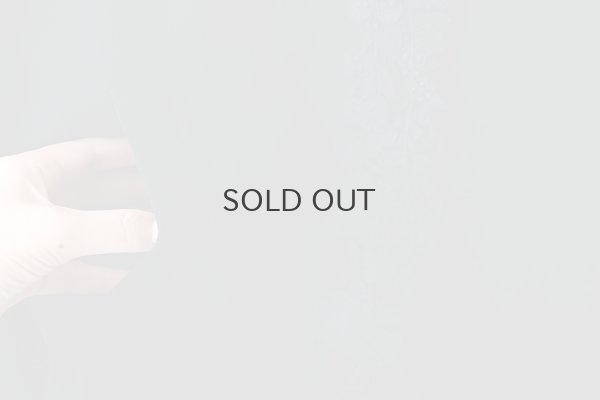 画像6: forest parade ブルゾン (AES2445:BK)