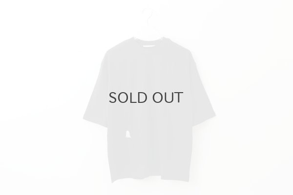 画像1: troll カットソー (AES8070:DNV)