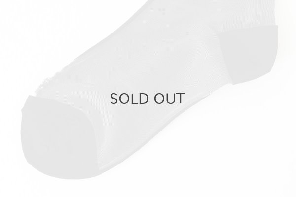 画像5: 1COLOR SEE-THROUGH SOCKS (BK)