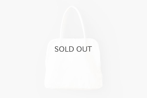 画像1: SILVA BAG (WH)