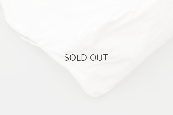 画像7: SILVA BAG (WH)