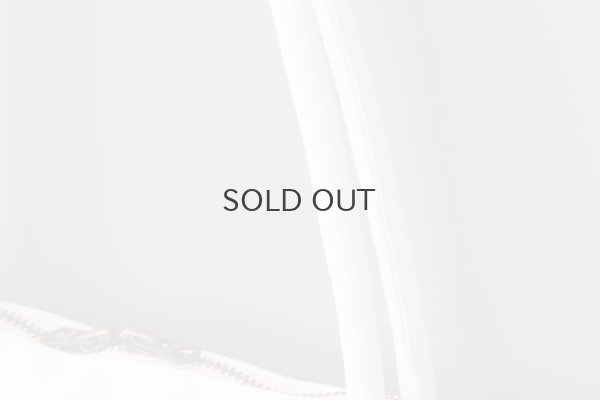 画像5: SILVA BAG (WH)