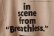 画像6: LIFE | Breathless (6)