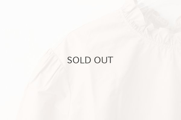 画像4: 別注カラー!! STAND COLLAR LONG SLEEVE TOP  (BG)