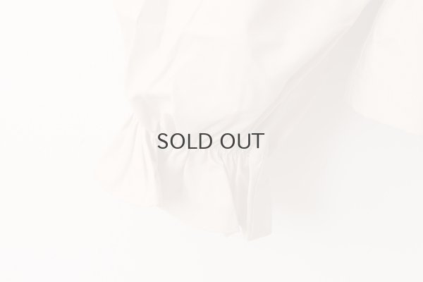 画像5: 別注カラー!! STAND COLLAR LONG SLEEVE TOP  (BG)