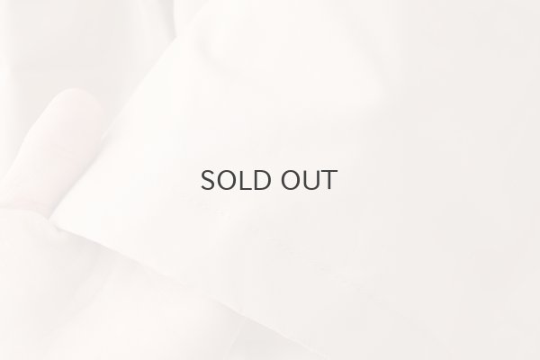 画像6: 別注カラー!! STAND COLLAR LONG SLEEVE TOP  (BG)