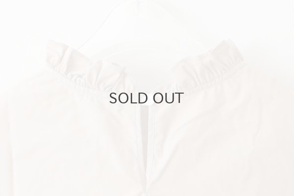 画像7: 別注カラー!! STAND COLLAR LONG SLEEVE TOP  (BG)